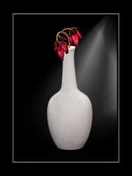 Bleeding Heart Vase