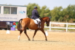 SBM_011950