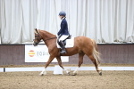 SBM_1353