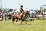 SBM_15584