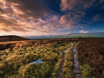 Ilkley Moor