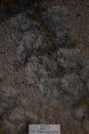 231112-150558-01479