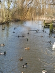 Waltham Abbey