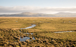 Wigtown Bay Reserve