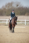 SBM_007305