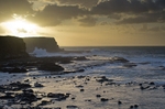 Sunrise petrified forest Curio Bay