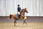 SBM_002644
