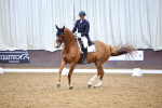 SBM_008977