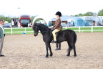 SBM_00372