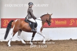 BPP_1109