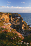 Cliffs at Tintagel looking towards Trebarwith Strand. Ref 2402