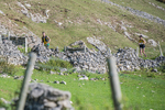 Ilam-1122
