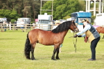 SBM_00524