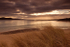 Trawbreaga bay