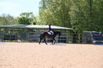 WJ6_8834