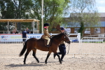 SBM_13059