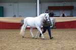 SBM_17477