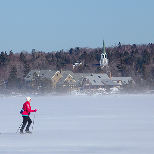 A pair of snowshoeing enthusiasts and their dog brave a strong headwind along the Kennebecasis River at Rothesay.