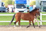 SBM_08636