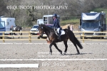 BPP_9426