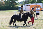 WJ6_7719
