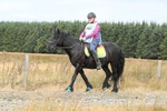 SPXX2174
