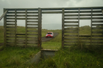 Bear Comp Tyrone Stages 75 of 110