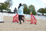 SBM_29155