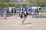 BPP_1173