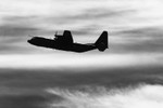 _MG_2330