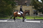 WJ5_9864