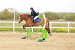 SBM_003984