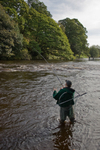 Fishing the Blackwood Beat
