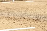 SBM_000831