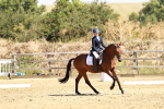 SBM_001516