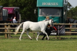 SBM_00778