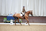 SBM_001554