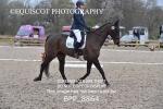 BPP_8864