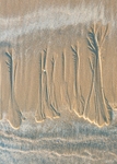 Beach Art:182E