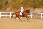 SBM_008789