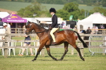 SBM_09707