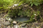 St Madrons Well, Cornwall