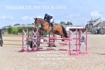CLASS 15 SUN Senior Newcomers/ 1.10m Open portfolio