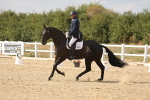SBM_015635