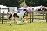 SBM_05495