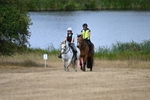 WJ6_9139