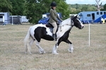 WJ7_6817