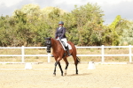 SBM_003766