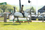 SBM_10851