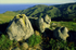 Rocky Ridge, Garrapata State Park